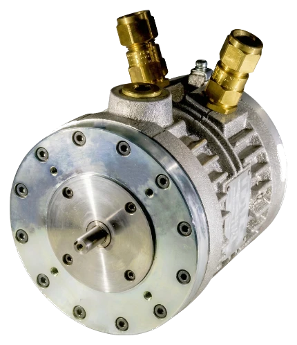 ATEX explosion proof servomotor execution