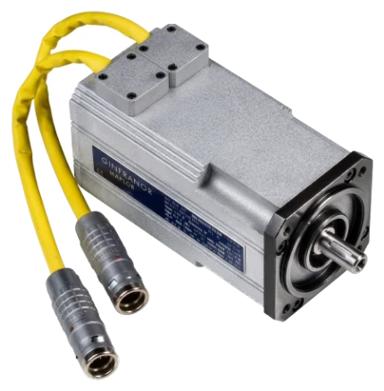 Radiation and vacuum resistant servomotor execution